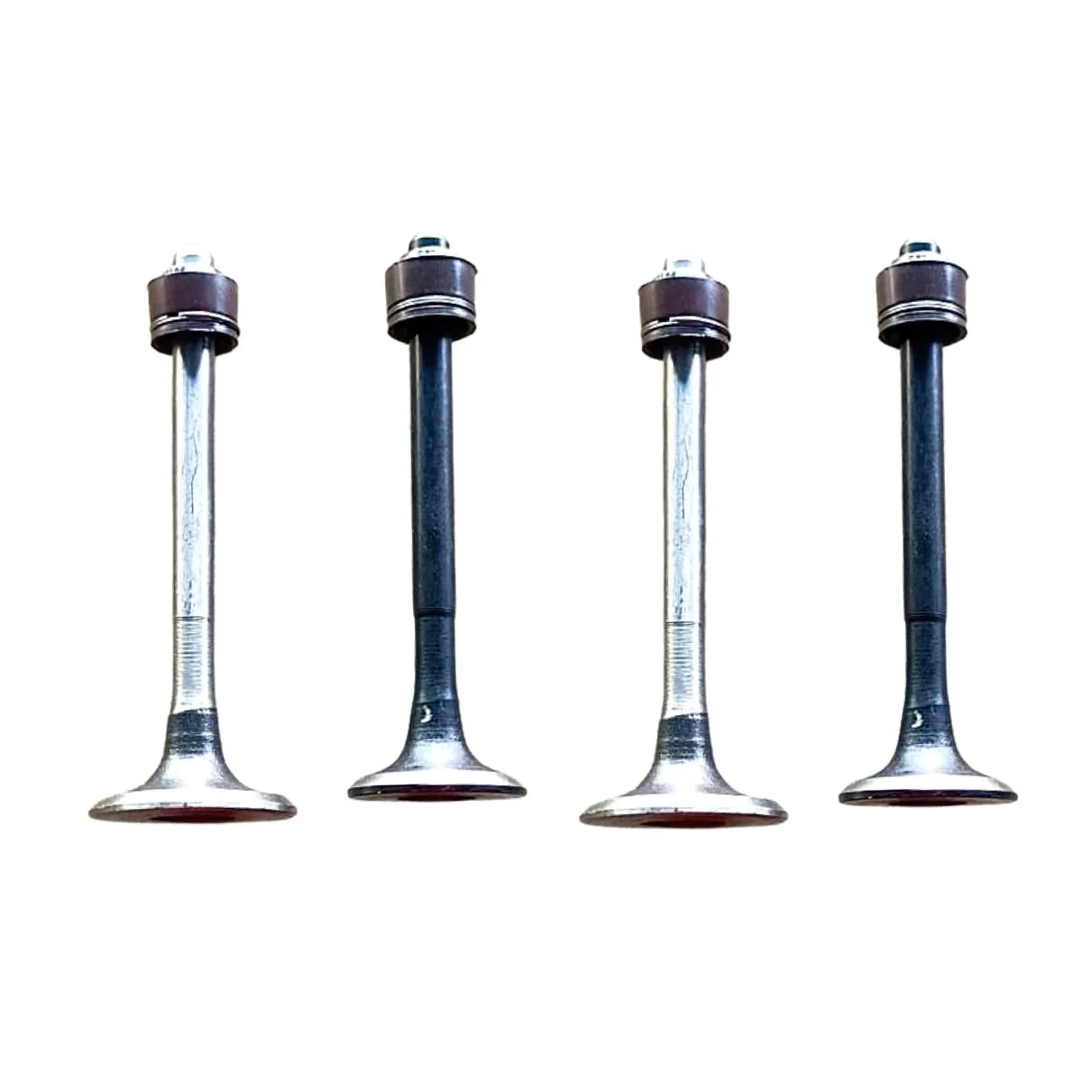 Engine Valve Set for Bajaj Discover 100M | 4 Valves with Seal